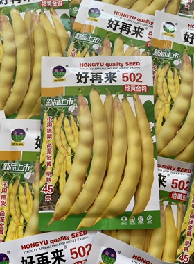 好再来502地黄金钩豆角种子矮生不搭架面豆角籽早熟无筋无柴好吃