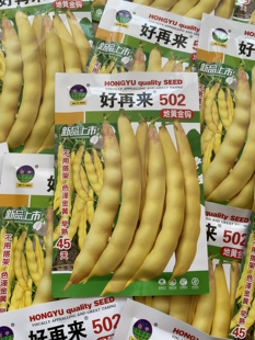 好再来502地黄金钩豆角种子矮生不搭架面豆角籽早熟无筋无柴好吃