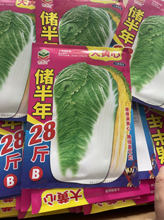储半年东北黄心大白菜种子农家包心大白菜籽冬储大白菜种籽40克
