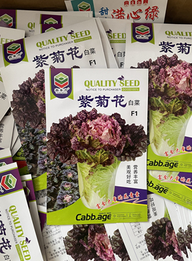 紫菊花白菜种子东北农家快菜白菜籽紫色白菜100粒小颗白菜