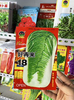 好再来18大白菜种子包心菜冬储