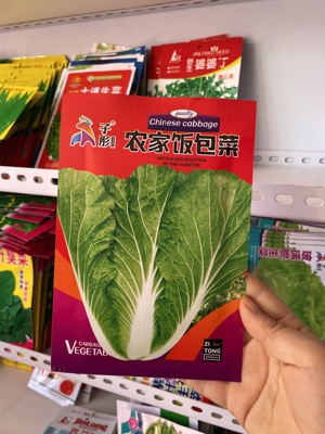 东北农家圆叶饭包菜种子批帮菜