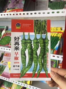 好再来早椒种子螺丝椒种籽螺旋皮薄辣椒籽农家褶子椒100粒