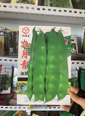 九月青晚油豆角种子东北农家油豆角籽搭架油豆无筋无柴晚种速冻