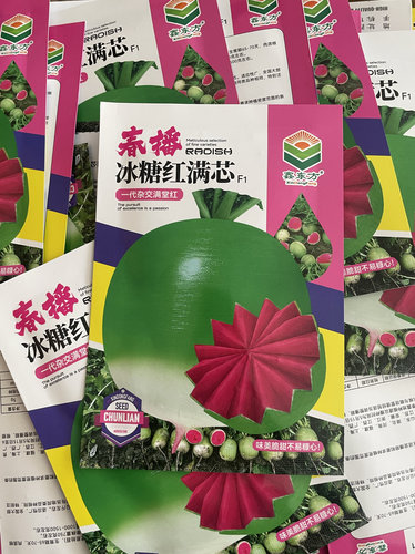 春播冰糖红满芯萝卜种子水果红心