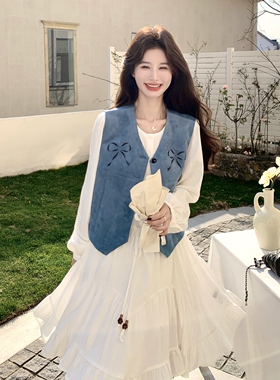 2026春装新款时尚百搭二件套套裙2C318--6613--P195K318