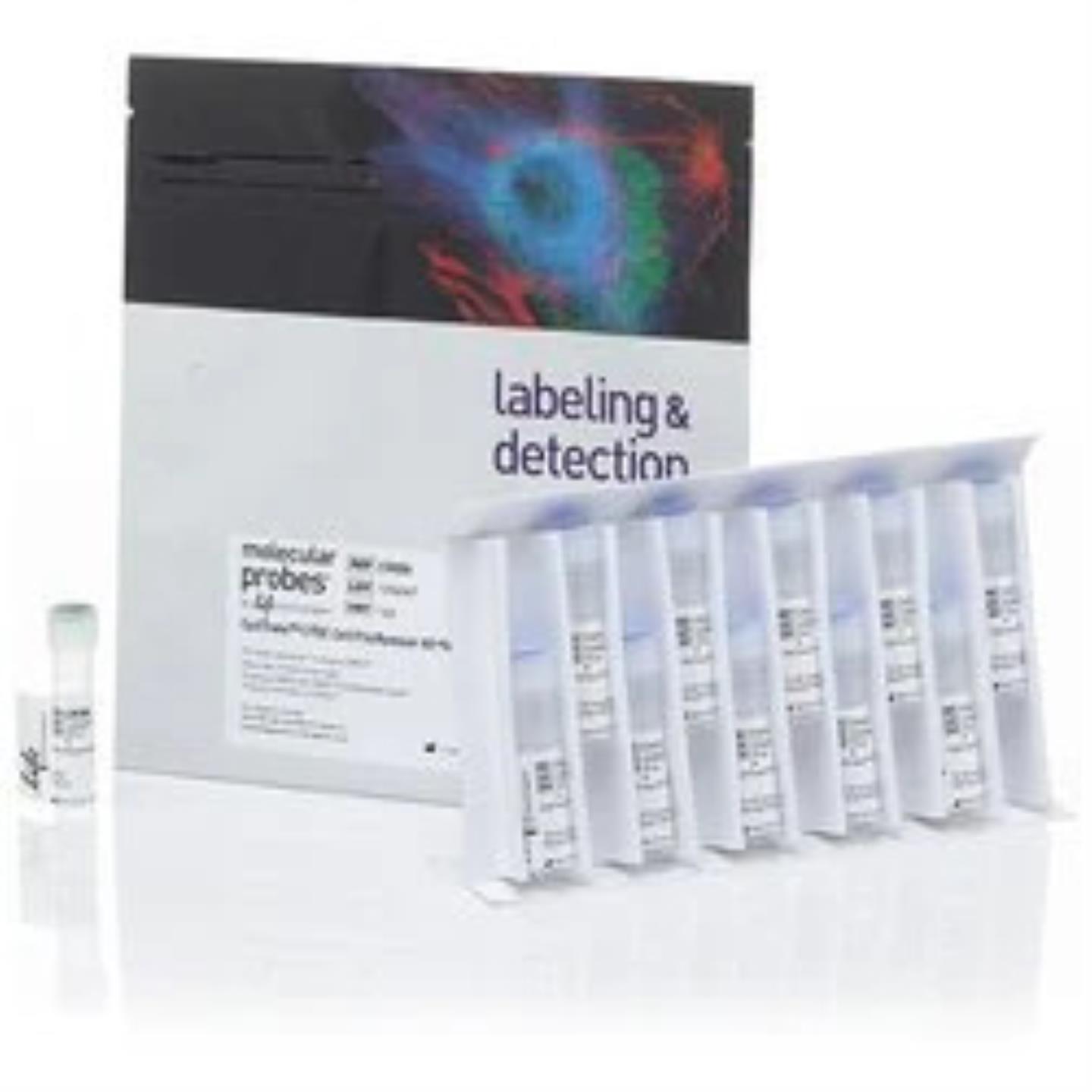 Invitrogen CellTrace CFSE Cell Proliferation Kit C34554