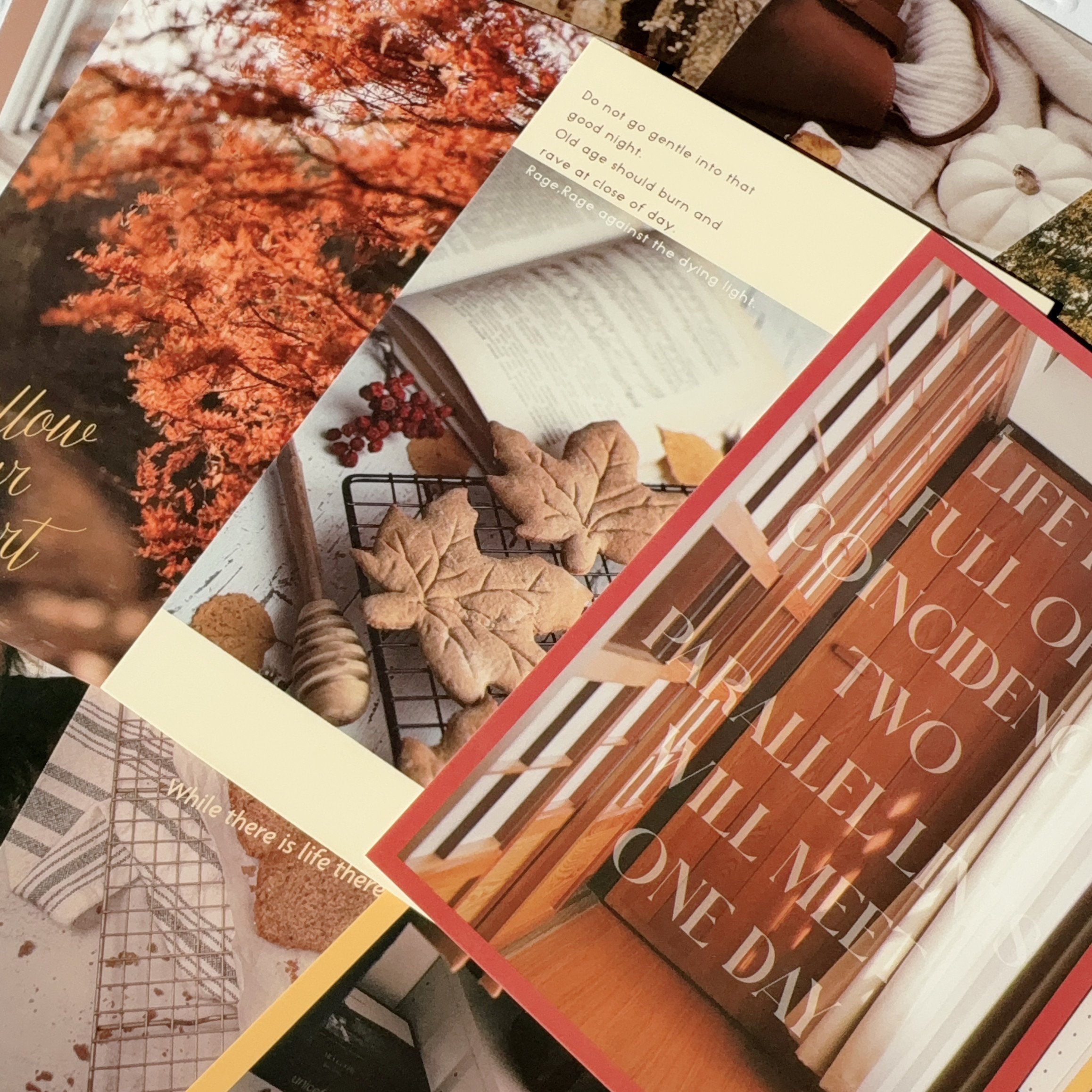 ins风复古美式乡村落叶枫叶背景纸手账拼贴装饰素材纸