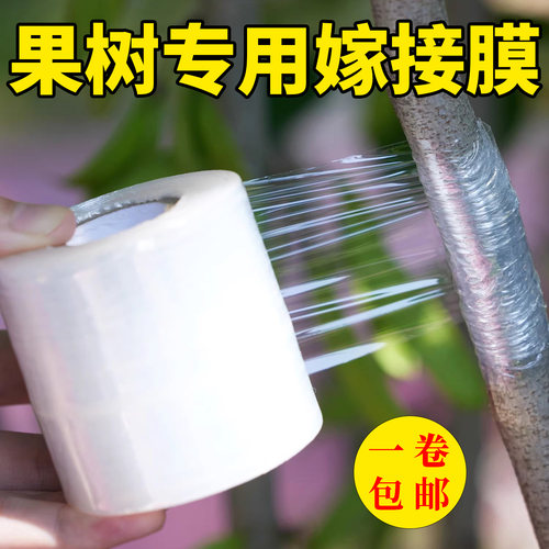 果树嫁接专用膜缠绕膜
