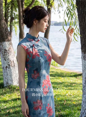 蓝底红花网纱夏长裙64