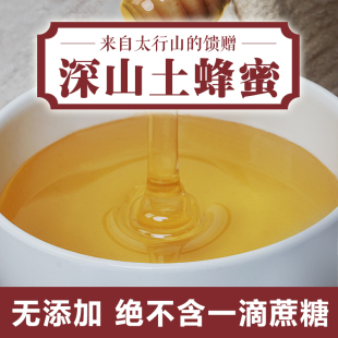 费洋槐蜜蜂巢现取 九抋堂野生纯正土蜂蜜不加蔗糖天然百花蜜500g 免邮