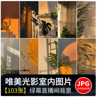 光影氛围室内唯美落日暖光打灯光抖音虚拟直播间背景绿幕图片素材