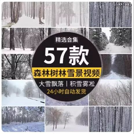 冬天树林雪景大雪纷纷下雪飘落森林积雪冬季自媒体风景短视频素材