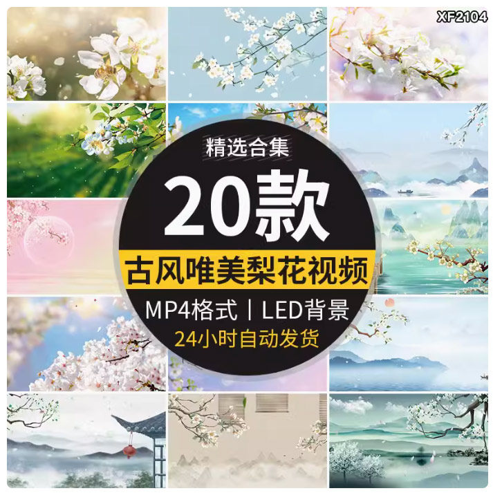春天唯美梨树梨花瓣飘落中国风水墨古风古典LED舞台背景视频素材