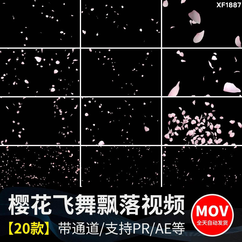 唯美浪漫粉红樱花瓣纷飞飘散飘落元素特效MOV带透明通道视频素材