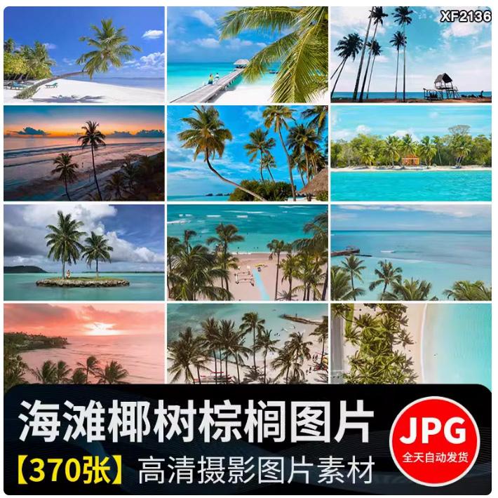 夏日海滩椰树棕榈沙滩自然风景海岛热带日出夕阳蓝天白云图片素材