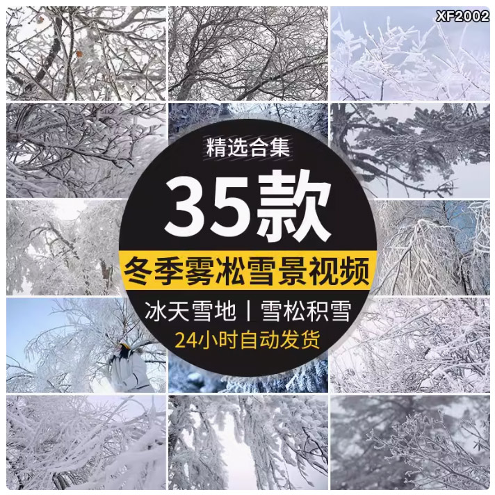 唯美冬季雾凇雪景冬天树枝积雪结冰特写自然风景实拍剪辑视频素材