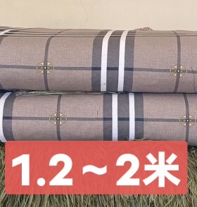 特价版:1*2～2米.草的厚度3cm,夏季凉丝丝，冬季暖融融，透气吸汗