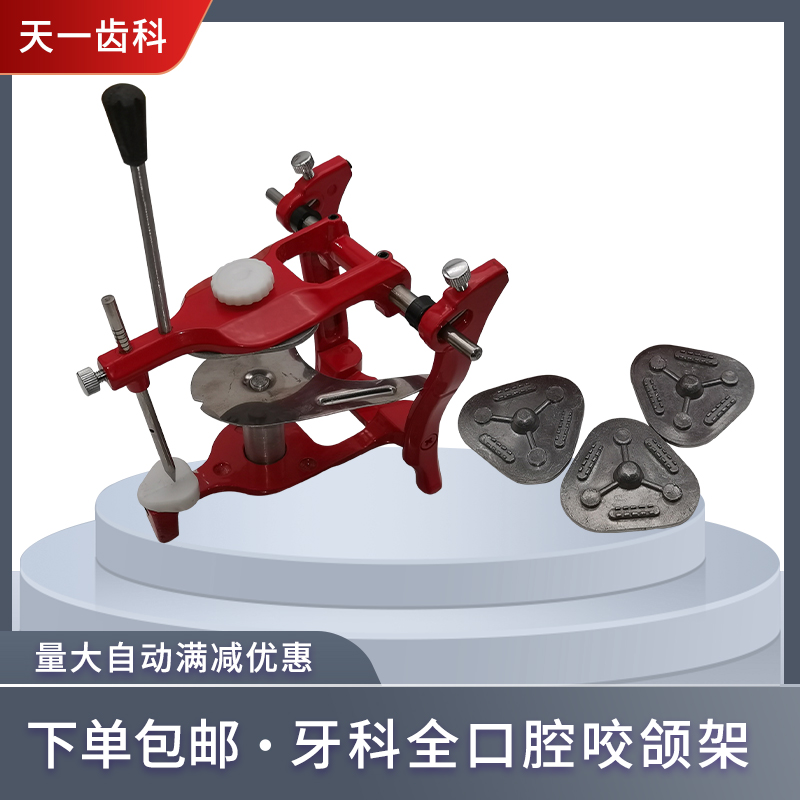 牙科口腔咬颌架精密解剖平均值