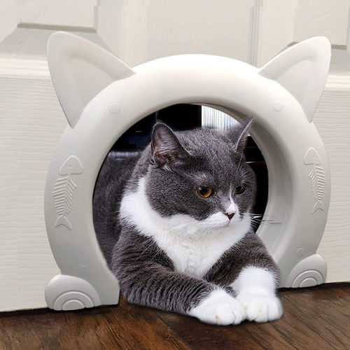 猫门洞自由进出无门帘