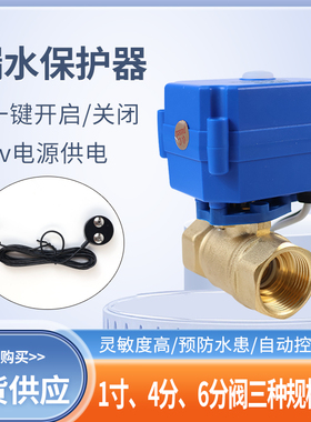 漏水保护器家用得盾水浸防漏水净水器厨房用 电源可多配探头包邮