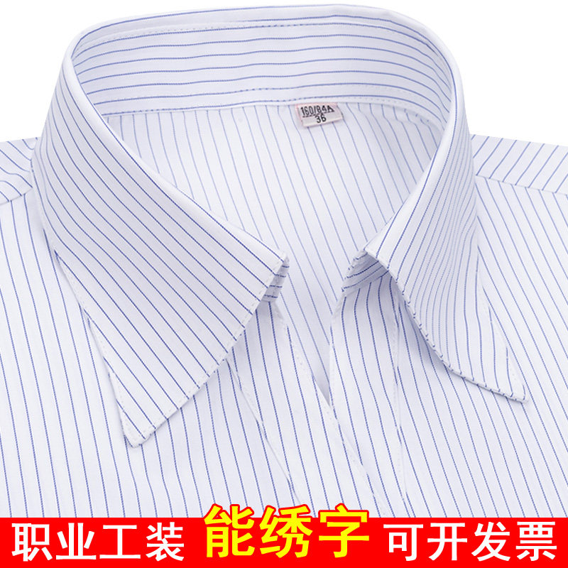 女士白底蓝色细条纹长袖V领衬衫银行职业装纯棉修身工装大码衬衣