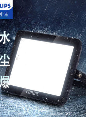 飞利浦led投光灯投射灯泛光灯户外室外防水路灯壁灯庭院射灯明欣