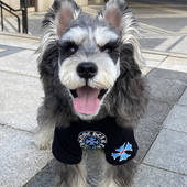 宠物狗狗潮牌亲子装 中小大型犬雪纳瑞泰迪比熊柯基金毛巨贵夏 薄款