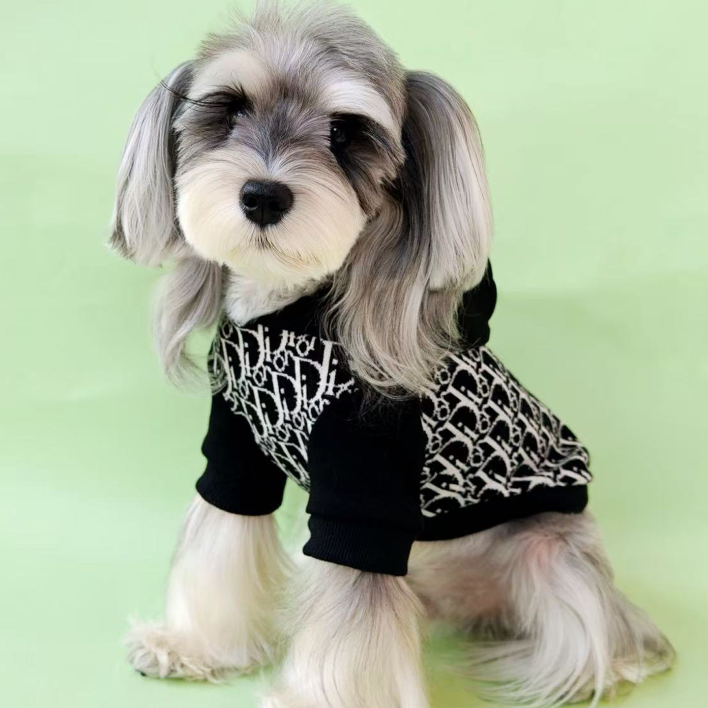 新款潮牌狗狗衣服秋冬小型犬雪纳瑞泰迪比熊西高地吉娃娃宠物卫衣