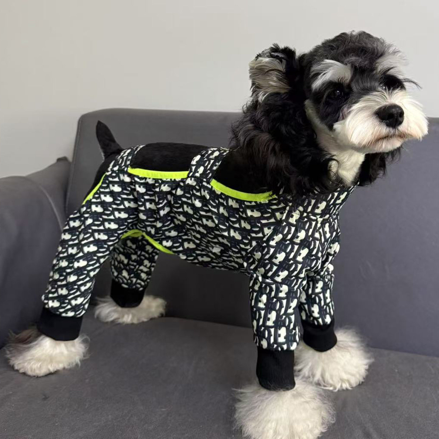 狗狗衣服春夏薄潮牌宠物防尘裤四脚防脏防虫雪纳瑞泰迪比熊外出服,宠物/宠物食品及用品,狗宠物服装/雨衣,淘宝优惠券,粉丝福利购,淘宝优惠卷