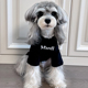 狗狗衣服潮牌薄款 夏 大型犬金毛巨贵比熊泰迪博美雪纳瑞宠物亲子装
