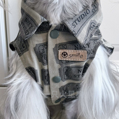 大小型犬柯基泰迪比熊雪纳瑞边牧 款 宠物衣服狗狗牛仔衬衣无袖 四季