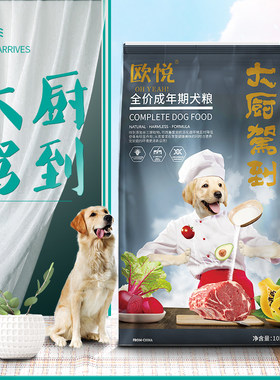 10kg泰迪金毛柯基法斗中型成犬