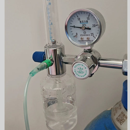 东裕浮标式氧气吸入器氧吸医用氧