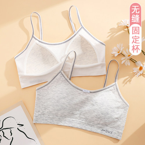 无缝彩棉夏季薄款发育期少女内衣