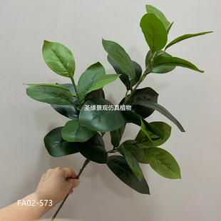 仿真菠萝蜜叶柚子叶单支过胶叶子玉兰叶仿生绿植柚子树叶枝橘子叶