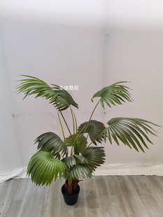 ab仿真扇葵北欧网红仿生绿植室内落地装饰假树盆栽摆件圆叶小棕树
