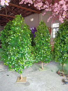 仿真茉莉树灰莉树2米高塔型假树灌木丛道路绿化造景树马醉木定制