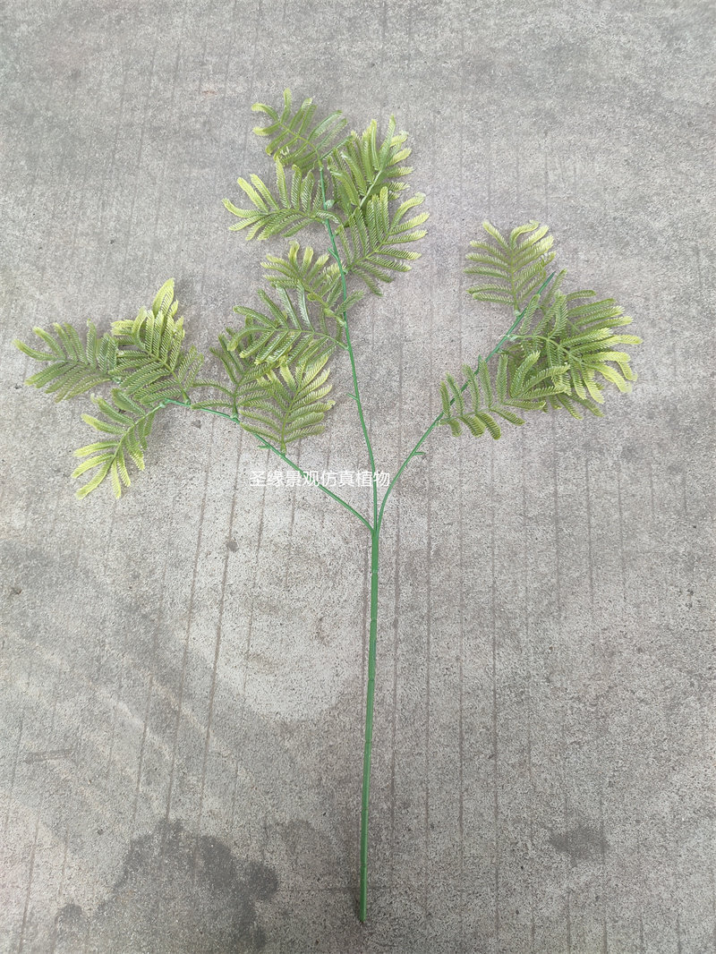 仿真合欢树叶凤凰木凤凰叶油柑子树叶枝假树装饰叶子工程塑料绿叶