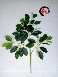 仿真柠檬叶金桔树叶假金橘树枝叶子客厅样板间摆件年橘橙子树叶子