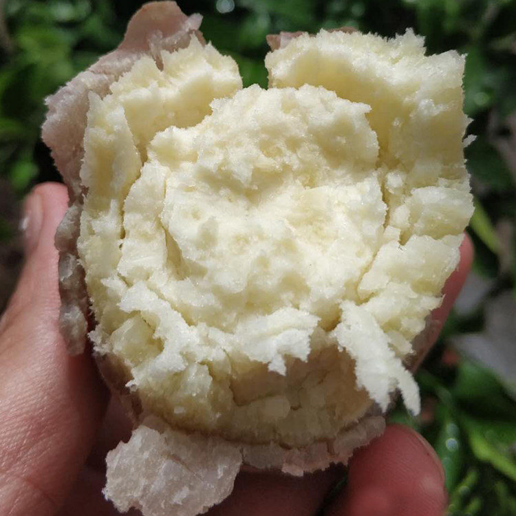 新鲜现挖农家自种茂名高州爆皮面包王白心板栗干面粉糯红番薯地瓜