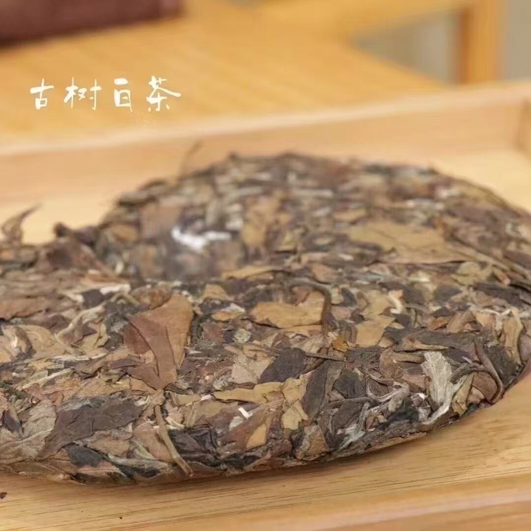 云庚茶业普洱白茶2020年白露邦东云南古树春茶花果香大叶种白茶