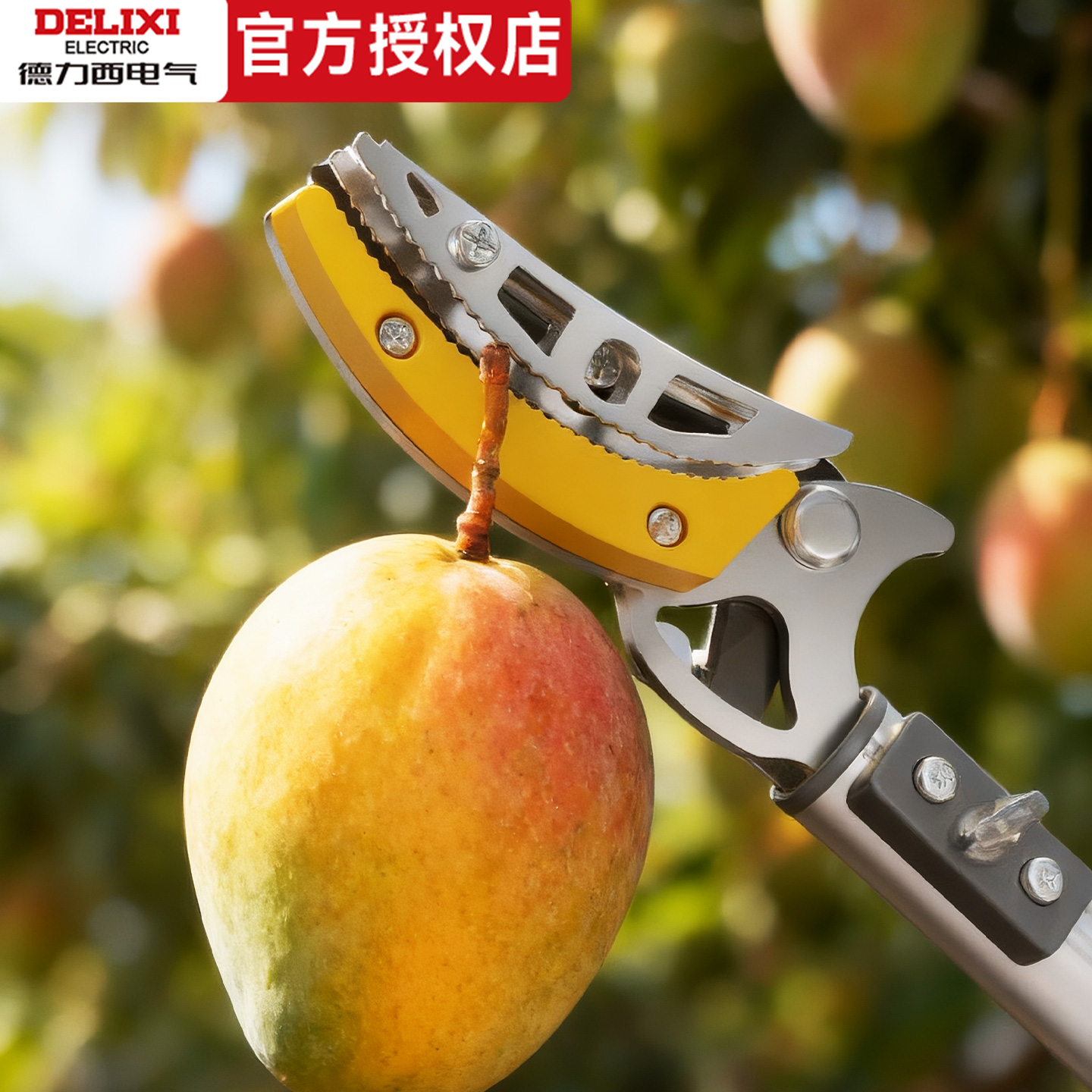 高枝剪剪树枝专用剪刀摘果神器伸缩杆高空高枝剪枝摘柿子修剪果树