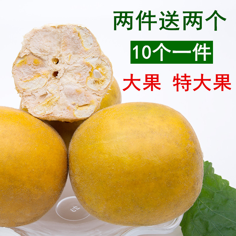 罗汉果茶低温脱水黄金冻干真空特大果仁送礼盒子广西桂林特产包邮