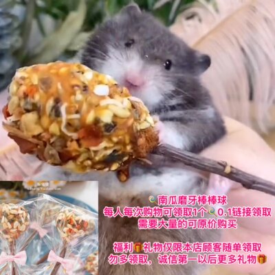 随单礼*物 手工苹果南瓜磨牙饼球棒棒 仓鼠金丝熊西施熊花枝零食