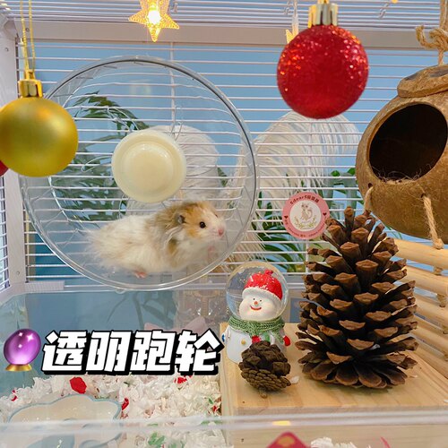 仓鼠透明跑轮带支架金丝熊透明跑轮飞盘飞碟通心粉跑轮20-24CM - 封面