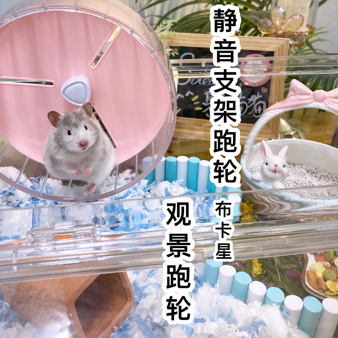 包邮 仓鼠金丝熊透明跑轮 糖果色布卡星跑轮 支架跑轮21CM 静音跑