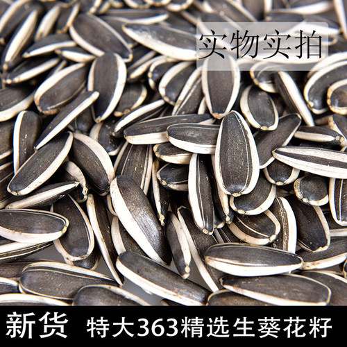 无坏子新货363薄皮瓜子生熟可选