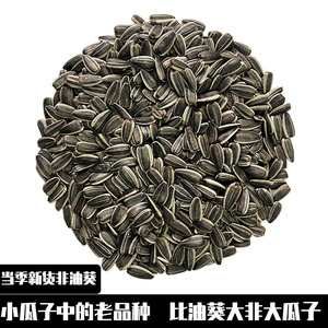 葵伯伯新货纯生小瓜子