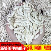 美人甲生南瓜子长粒大白新货新鲜生南瓜籽内蒙美甲原味现炒南瓜籽